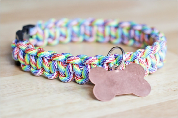 Best ideas about DIY Paracord Dog Collar
. Save or Pin Top 10 Lovely DIY Pet Collars Top Inspired Now.