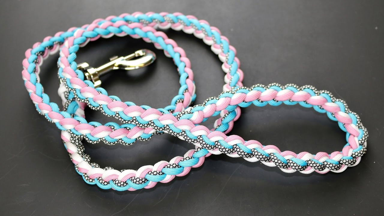 Best ideas about DIY Paracord Dog Leash
. Save or Pin HOW TO MAKE AN 8 STRAND BRAID PARACORD DOG LEASH TUTORIAL Now.