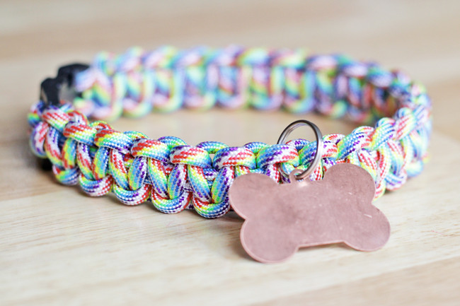 Best ideas about DIY Paracord Dog Leash
. Save or Pin 10 Easy DIY Dog Collars To Jazz Up Your Pup s Summer Now.