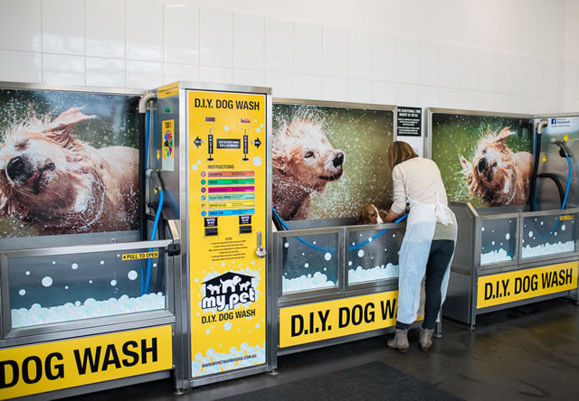 Best ideas about DIY Pet Grooms
. Save or Pin DIY Dog Wash and Grooming Salon Malvern My Pet Warehouse Now.