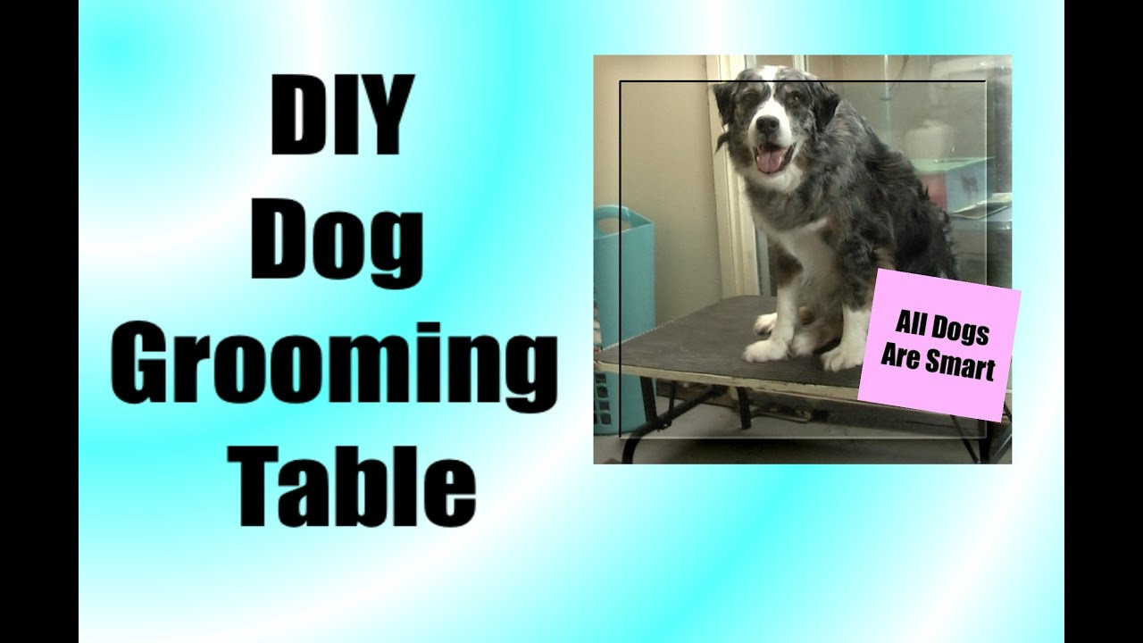 Best ideas about DIY Pet Grooms
. Save or Pin DIY Grooming Table Medium Dog Now.