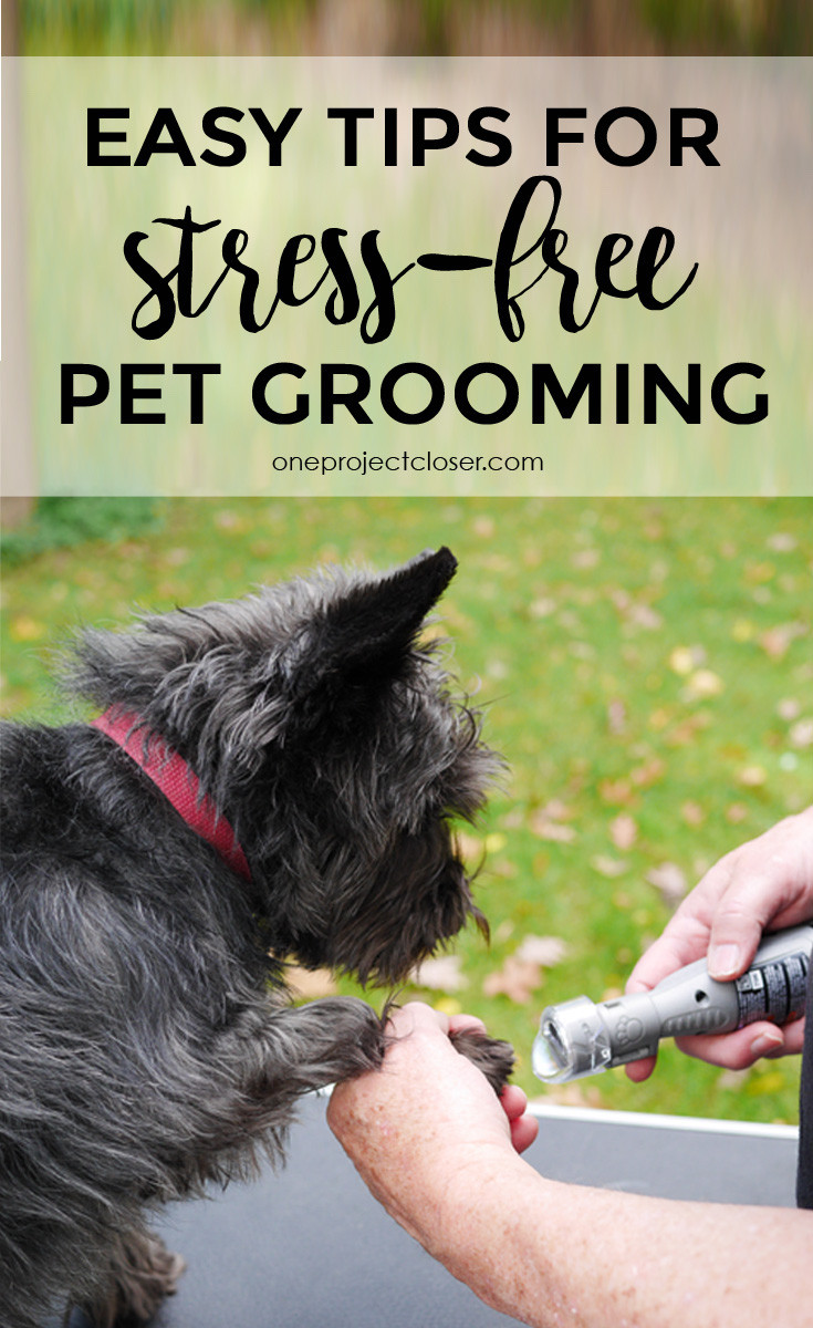 Best ideas about DIY Pet Grooms
. Save or Pin DIY Pet Grooming Tips Now.