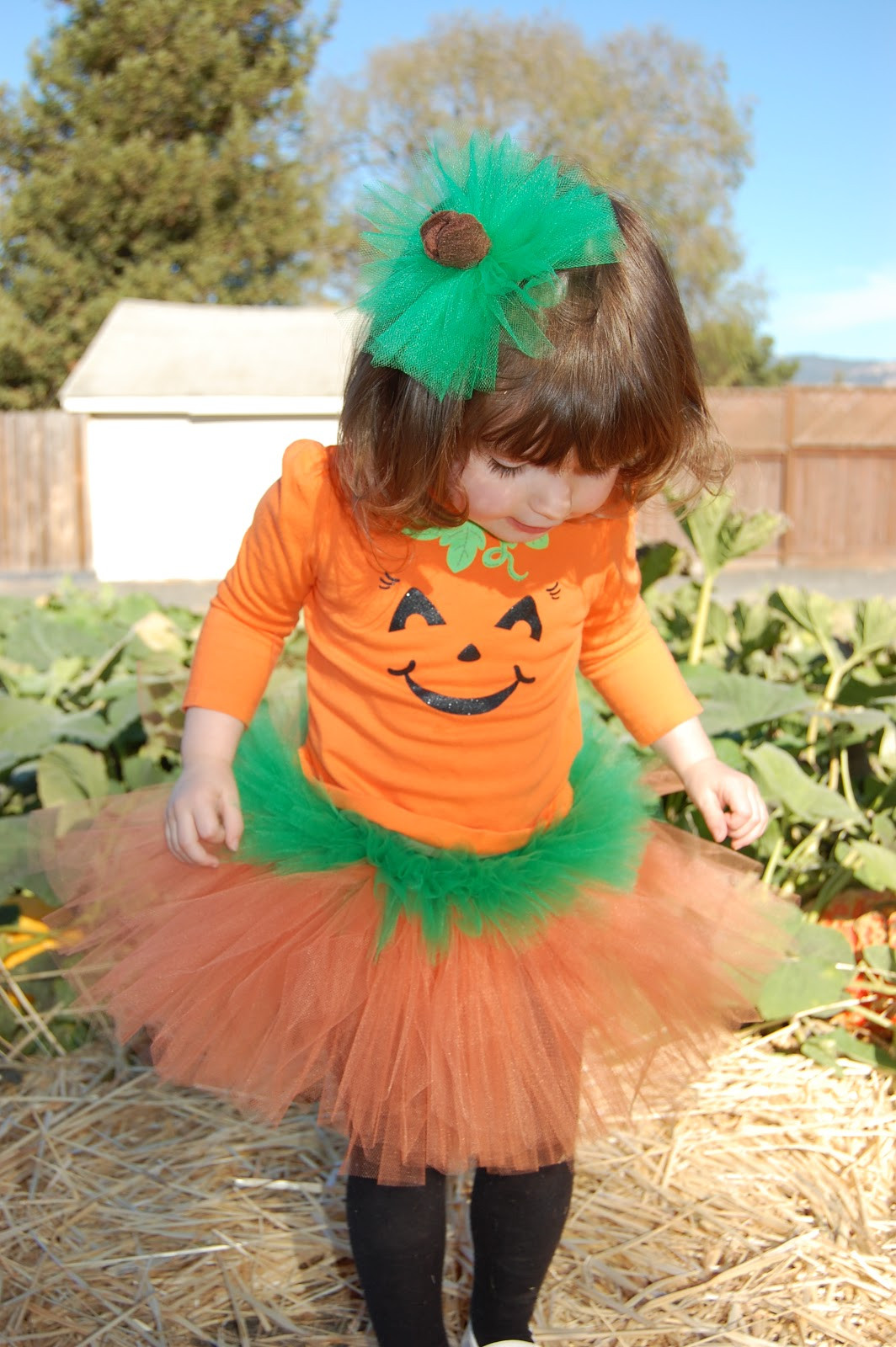 Best ideas about DIY Pumpkin Costume Toddler
. Save or Pin Craft Envy Now.