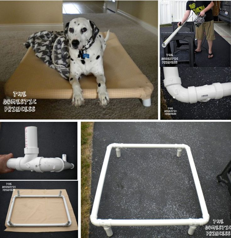 Best ideas about DIY Pvc Dog Bed
. Save or Pin 25 Best Ideas about Raised Dog Beds on Pinterest Now.