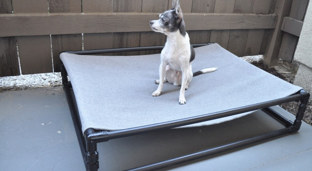 Best ideas about DIY Pvc Dog Bed
. Save or Pin Cleaning Instructions For A Kong Chew Resistant Dog Bed Now.