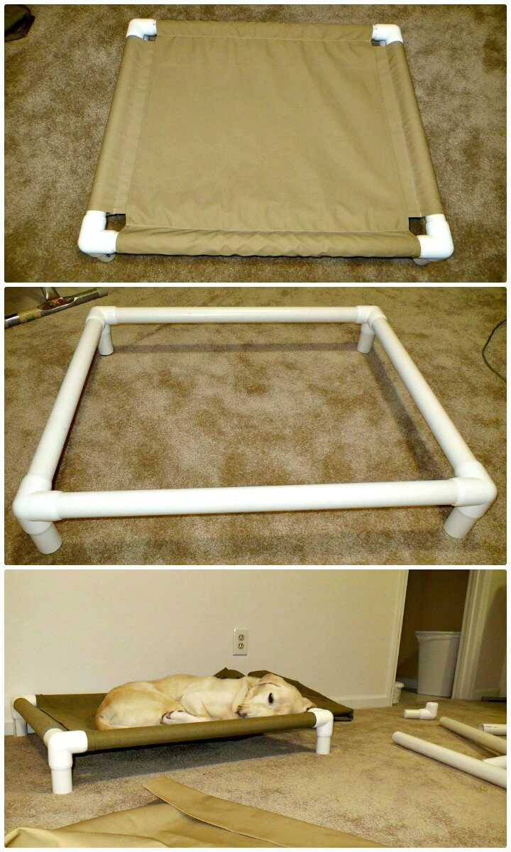 Best ideas about DIY Pvc Dog Bed
. Save or Pin 9 DIY Dog Bed Ideas Using PVC Pipe DIY & Crafts Now.