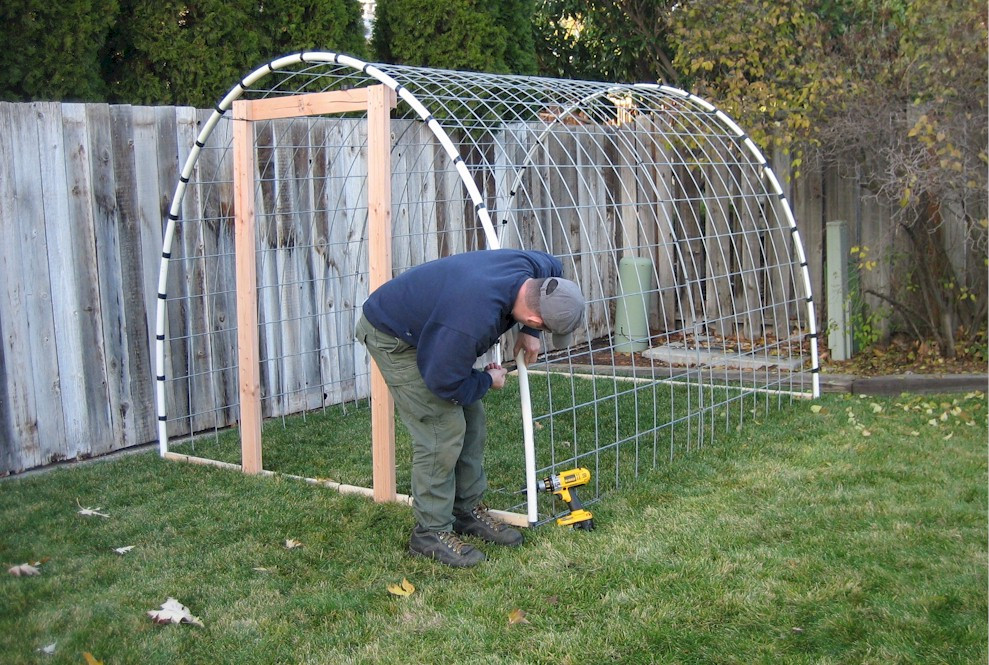 Best ideas about DIY Pvc Greenhouse Plans
. Save or Pin Gotta have a Greenhouse Now.