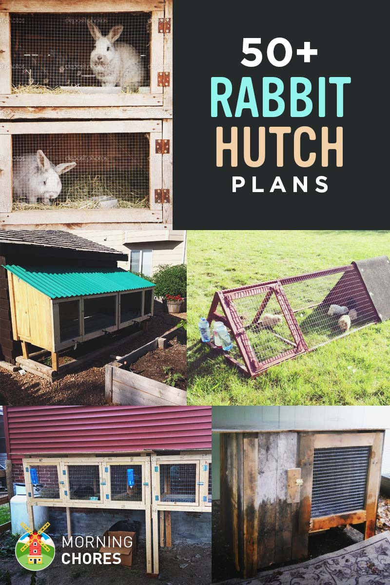 Best ideas about DIY Rabbit Hutch Plans
. Save or Pin 50 DIY Rabbit Hutch Plans to Get You Started Keeping Rabbits Now.