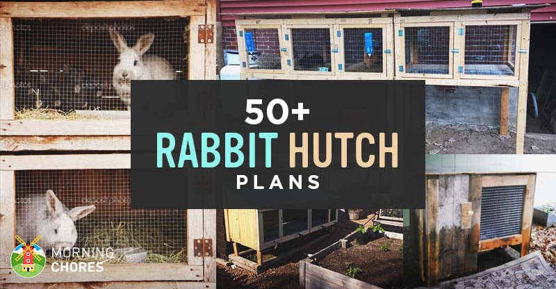 Best ideas about DIY Rabbit Hutch Plans
. Save or Pin 50 DIY Rabbit Hutch Plans to Get You Started Keeping Rabbits Now.