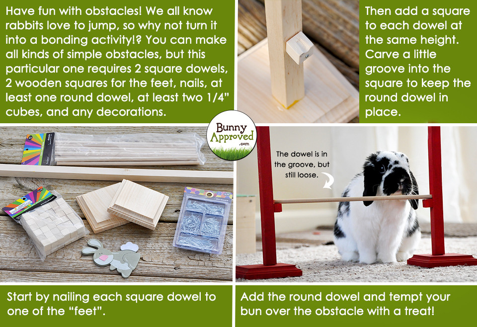 Best ideas about DIY Rabbit Toys
. Save or Pin DIY Rabbit Toy Ideas Bunny Approved House Rabbit Toys Now.