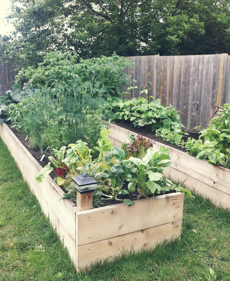 Best ideas about DIY Raised Bed
. Save or Pin DIY Easy Access Raised Garden Bed Now.