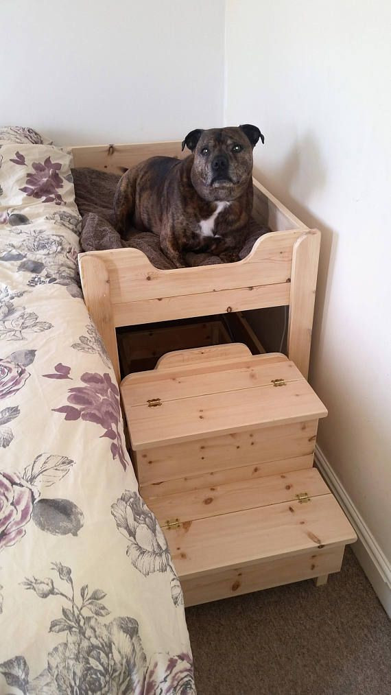 Best ideas about DIY Raised Dog Beds
. Save or Pin Best 25 Raised dog beds ideas on Pinterest Now.