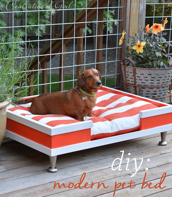 Best ideas about DIY Raised Dog Beds
. Save or Pin Creative DIY Dog Beds Now.