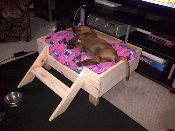 Best ideas about DIY Raised Dog Beds
. Save or Pin 26 Best DIY Pet Bed Ideas and Designs for 2019 Now.