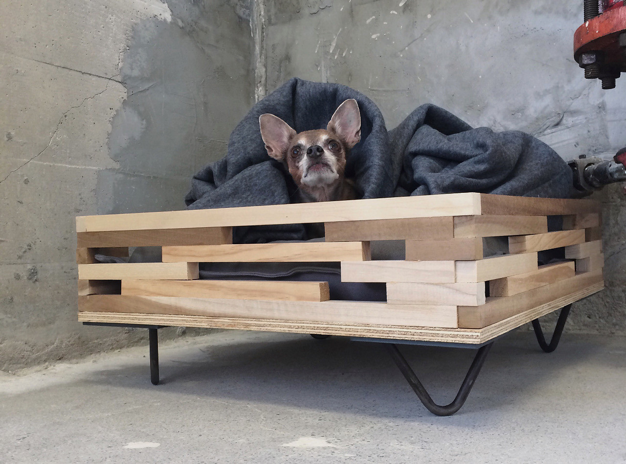 Best ideas about DIY Raised Dog Beds
. Save or Pin Elevated Hairpin Leg Dog Bed Dog Milk Now.