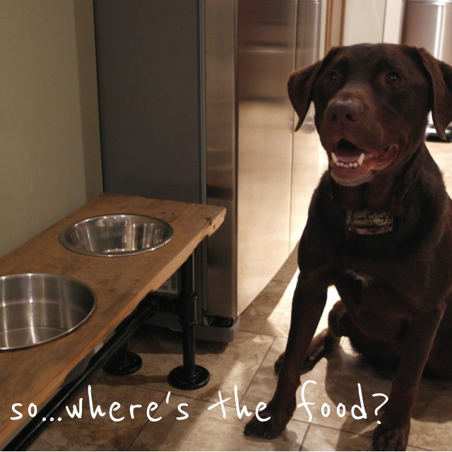 Best ideas about DIY Raised Dog Feeder
. Save or Pin Raised Industrial Dog Feeder Tutorial Now.