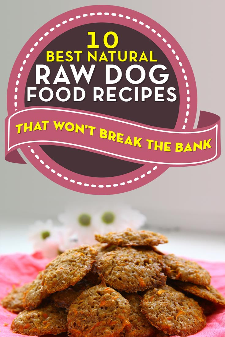 Best ideas about DIY Raw Dog Food
. Save or Pin 10 Best Natural Homemade Raw Dog Food Recipes s and Now.