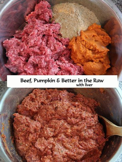 Best ideas about DIY Raw Dog Food
. Save or Pin Homemade RAW Dog Food Recipe Beef Pumpkin & Better in Now.