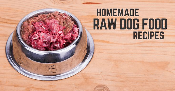 Best ideas about DIY Raw Dog Food
. Save or Pin Se Pinterests topplista med de 25 bästa idéerna om Dog Now.