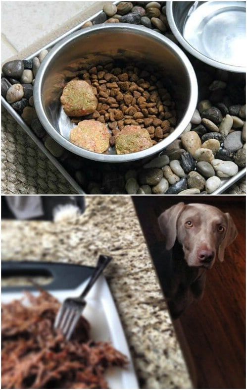 Best ideas about DIY Raw Dog Food
. Save or Pin 25 Lip Smacking Homemade Healthy Dog Food Recipes Your Now.