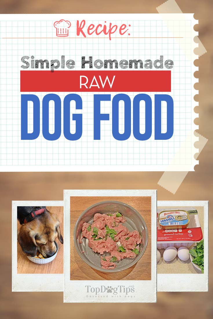 Best ideas about DIY Raw Dog Food
. Save or Pin Homemade Raw Dog Food Recipe Quick and Easy [incl Video] Now.