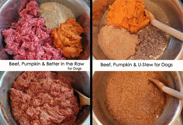 Best ideas about DIY Raw Dog Food
. Save or Pin Dog Food Recipes Know Better Pet Food Now.