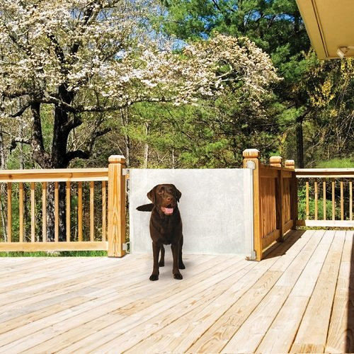 Best ideas about DIY Retractable Pet Gate
. Save or Pin Retractable Dog Gates Safety and Convenience Dog Vills Now.