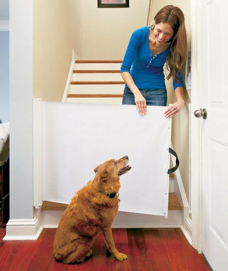 Best ideas about DIY Retractable Pet Gate
. Save or Pin Retractable Pet Gate For the Home Now.