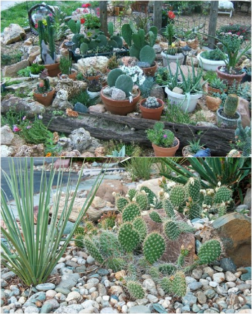Best ideas about DIY Rockery Garden
. Save or Pin 10 Gorgeous And Easy DIY Rock Gardens That Bring Style To Now.