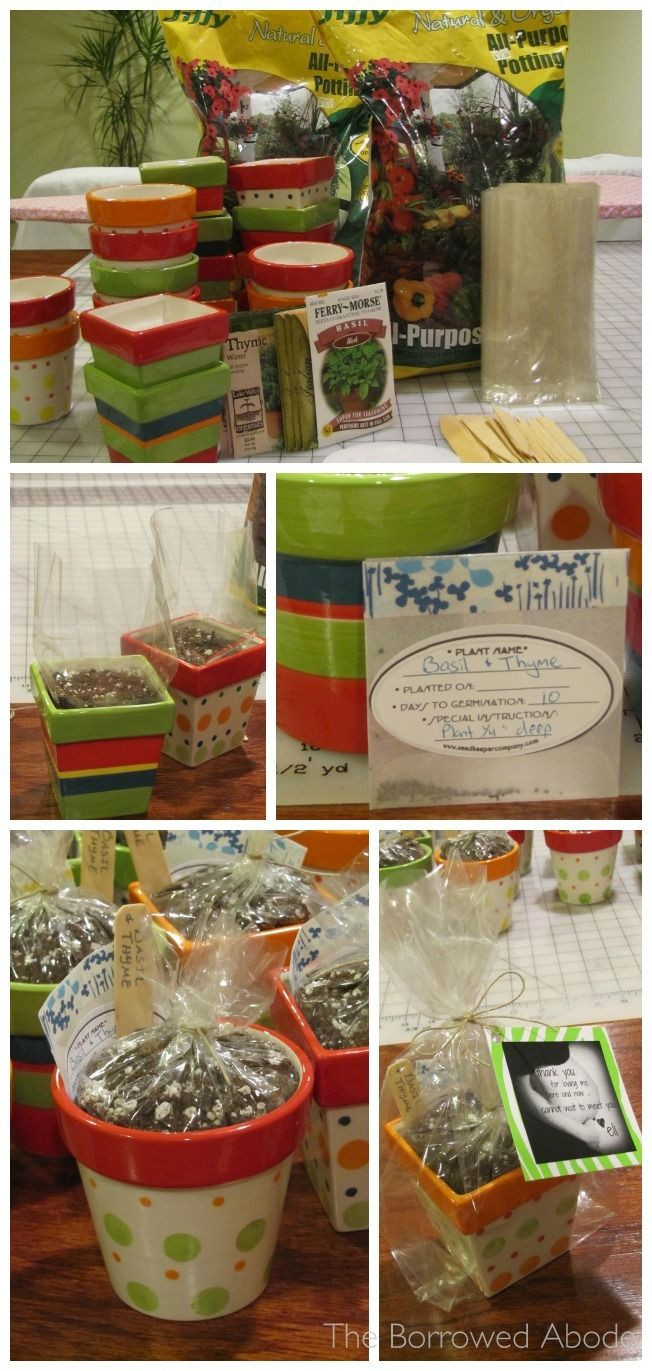 Best ideas about DIY Safari Baby Shower Decorations
. Save or Pin DIY Mini Herb Kit Party Favors Now.