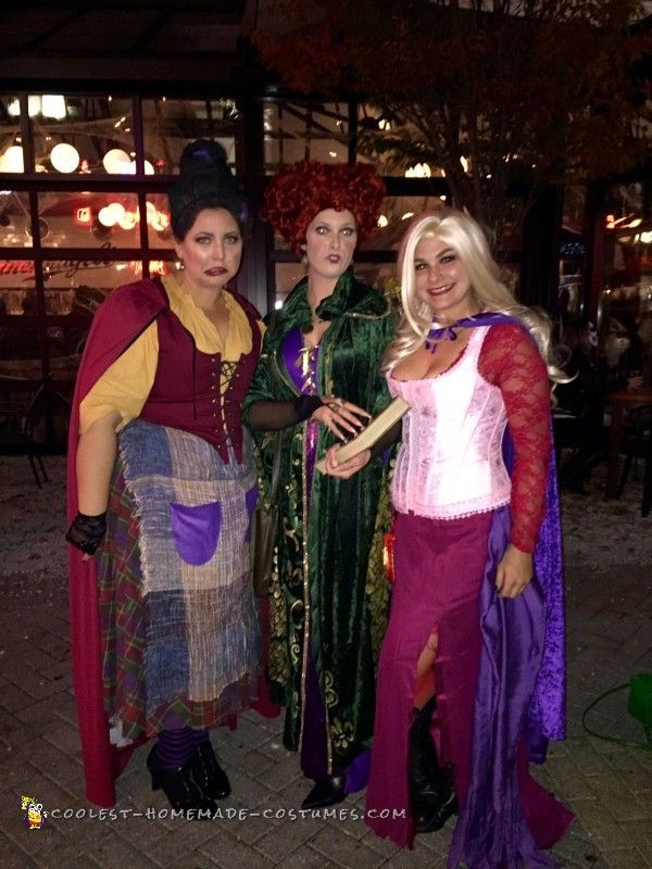 Best ideas about DIY Sanderson Sisters Costumes
. Save or Pin 409 best Group Halloween Costume Ideas images on Pinterest Now.