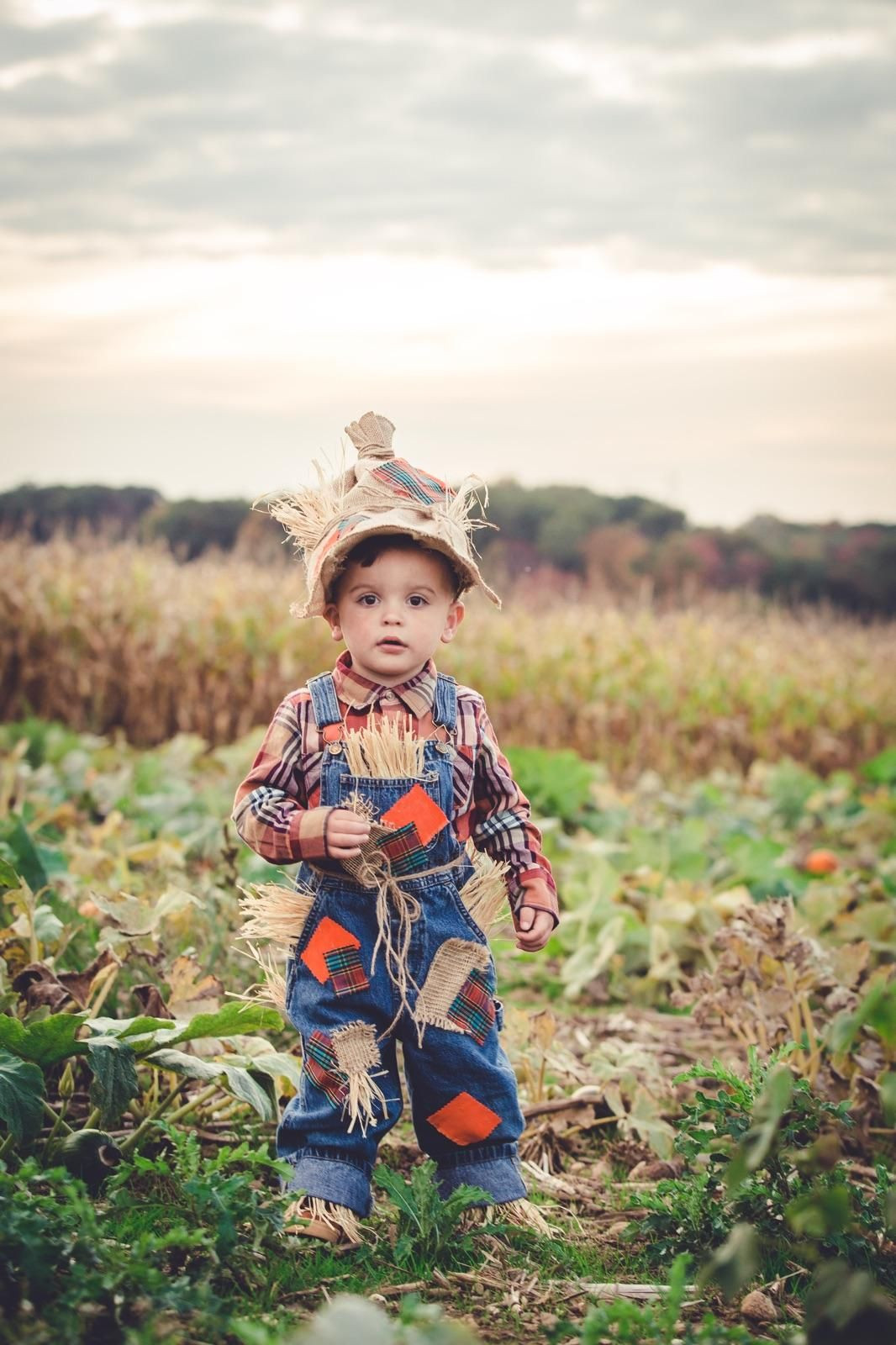 Best ideas about DIY Scarecrow Costume Toddler
. Save or Pin Toddler Boy DIY Scarecrow Costume Now.