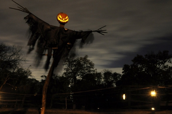 Best ideas about DIY Scary Outdoor Halloween Decorations
. Save or Pin 33 Best Scary Halloween Decorations Ideas & Now.