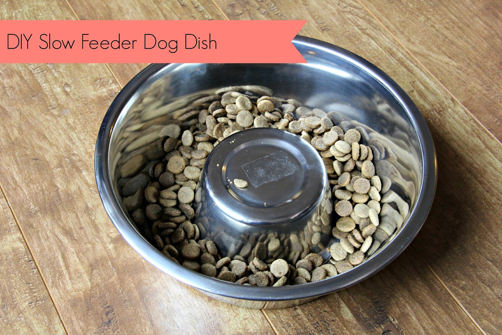 Best ideas about DIY Slow Feeder Dog Bowl
. Save or Pin No Ordinary Sparrow DIY Slow Feeder Dog Dish Now.