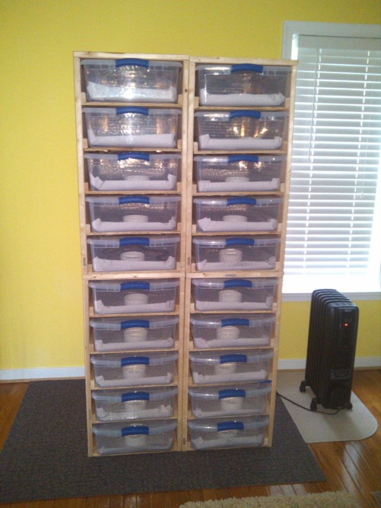 Best ideas about DIY Snake Rack
. Save or Pin 20 SLOT 34 QUART STERALITE RACK Now.