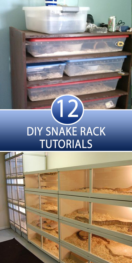 Best ideas about DIY Snake Rack
. Save or Pin 12 DIY Snake Rack Tutorials Now.