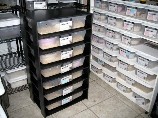 Best ideas about DIY Snake Racks
. Save or Pin SSSCALES – DIY XPVC Racks Now.