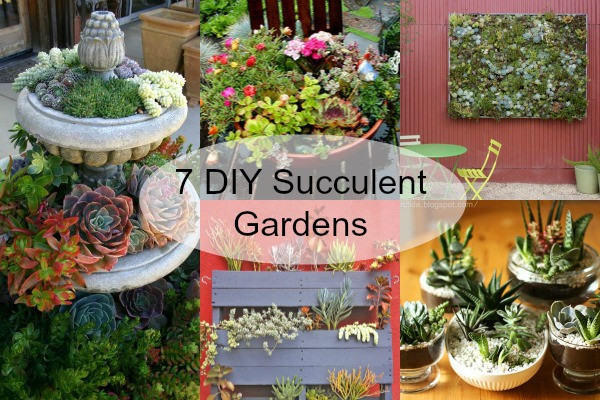 Best ideas about DIY Succulent Garden
. Save or Pin 7 Succulent Gardens You Can Create Now.