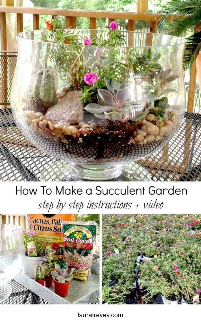 Best ideas about DIY Succulent Garden
. Save or Pin DIY MiniaturWste Miniature t Succulents garden Now.