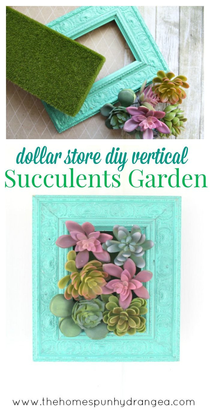 Best ideas about DIY Succulent Garden
. Save or Pin DIY Vertical Succulents Garden Craft Now.