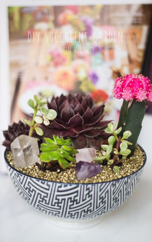 Best ideas about DIY Succulent Garden
. Save or Pin 32 Super Creative DIY Succulent Crafts and DIYs for You to Try Now.