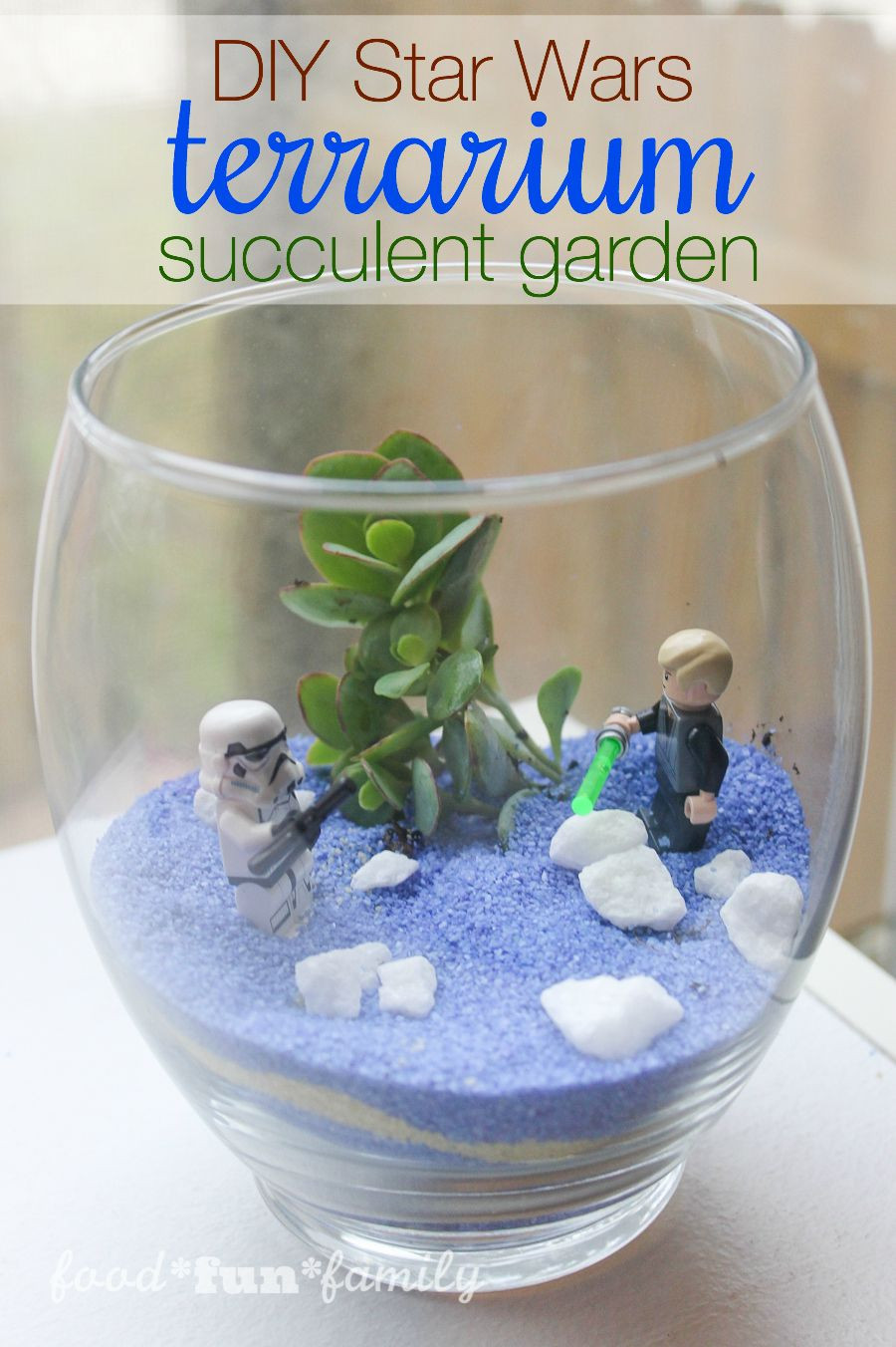 Best ideas about DIY Succulent Garden
. Save or Pin DIY Star Wars Terrarium Succulent Garden Now.