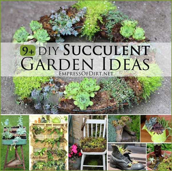 Best ideas about DIY Succulent Garden
. Save or Pin 9 DIY Succulent Garden Ideas Now.