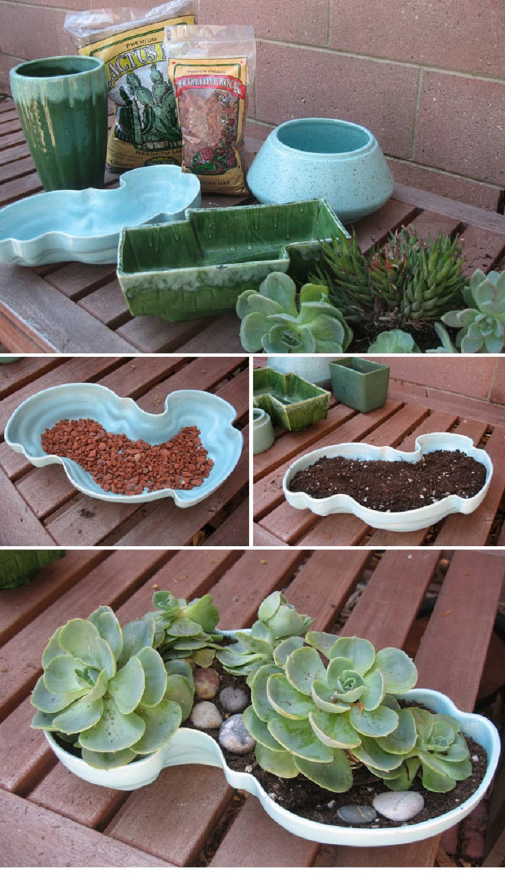 Best ideas about DIY Succulent Garden
. Save or Pin TOP 10 Fun DIY Projects with Succulent Plants Now.