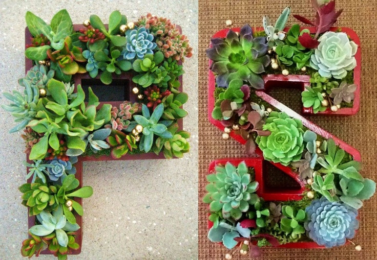 Best ideas about DIY Succulent Planter Box
. Save or Pin Succulent Planter Monogrammed or Numbers Planter Box As Now.