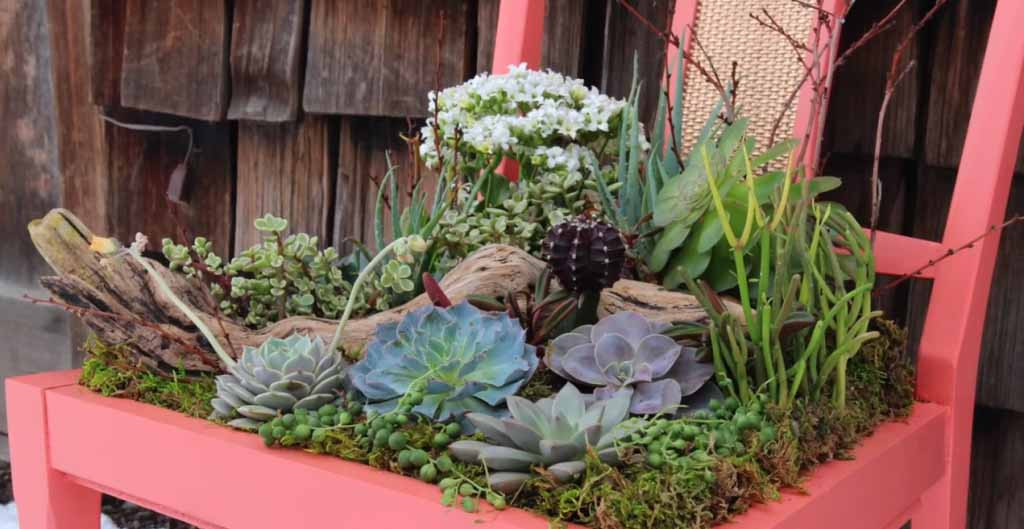 Best ideas about DIY Succulent Planter Box
. Save or Pin DIY Succulent Planter Now.