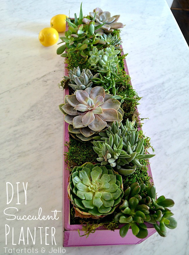 Best ideas about DIY Succulent Planter Box
. Save or Pin DIY Wooden Succulent Planter Now.