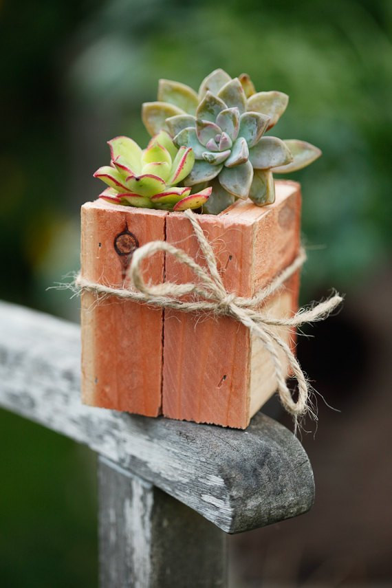 Best ideas about DIY Succulent Planter Box
. Save or Pin DIY Succulent Centerpieces Handmade Wedding Now.