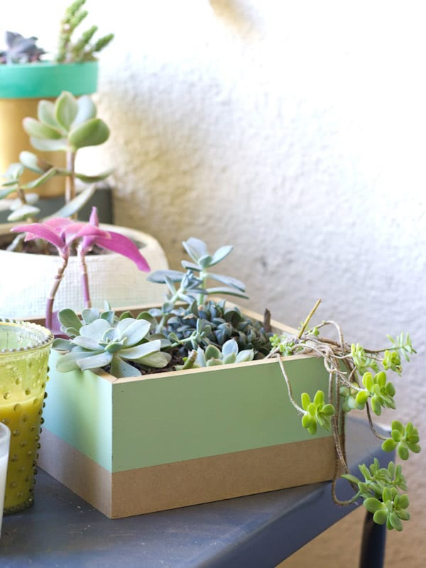 Best ideas about DIY Succulent Planter Box
. Save or Pin DIY Painted Succulent Planter Box Now.