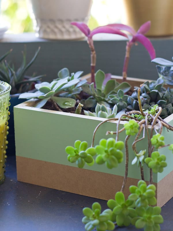 Best ideas about DIY Succulent Planter Box
. Save or Pin DIY Painted Succulent Planter Box Now.